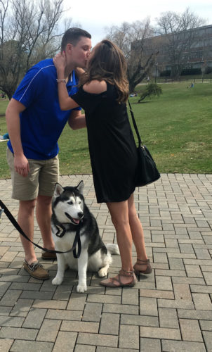 UConn Siberian Husky Jonathan assists with wedding proposal